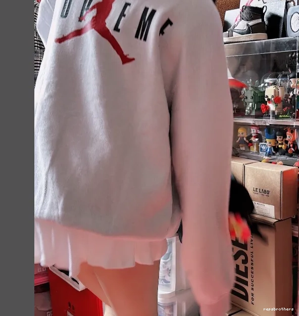 SWEATSHIRT ¥329 HOODED 24FW 0604
